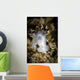 Polycera Tricolor Nudibranch Southern Wall Decal