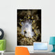 Polycera Tricolor Nudibranch Southern Wall Decal