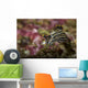 Polycera Atra Nudibranch Natural Wall Decal