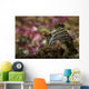 Polycera Atra Nudibranch Natural Wall Decal