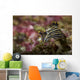 Polycera Atra Nudibranch Natural Wall Decal