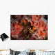 Strawberry Anemones Surround Barnacle Wall Decal