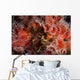Strawberry Anemones Surround Barnacle Wall Decal