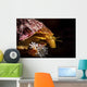 Profile Sea Snail Monterey Wall Decal
