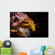 Profile Sea Snail Monterey Wall Decal