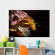 Profile Sea Snail Monterey Wall Decal