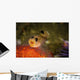Blackeyed Goby Yawning Monterey Wall Decal