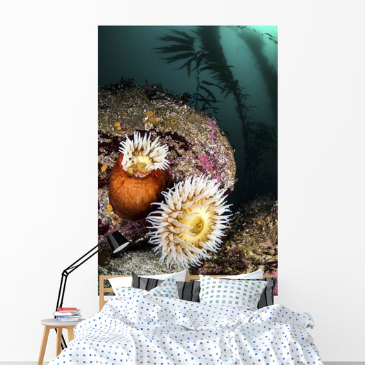 Anemone's and Kelp Monterey Wall Decal