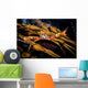 Kelp Crab Monterey Central Wall Decal