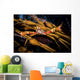Kelp Crab Monterey Central Wall Decal