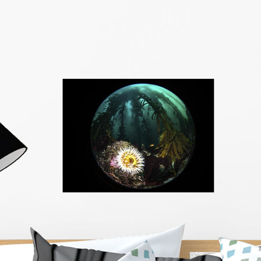 Anemone and Kelp Taken Wall Decal