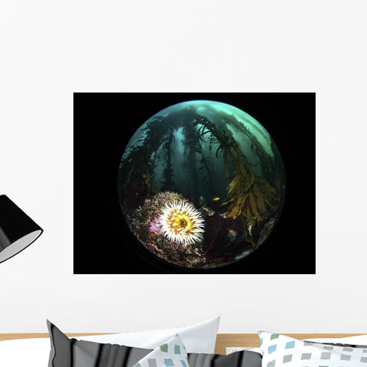 Anemone and Kelp Taken Wall Decal