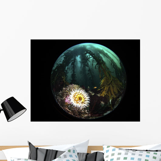 Anemone and Kelp Taken Wall Decal