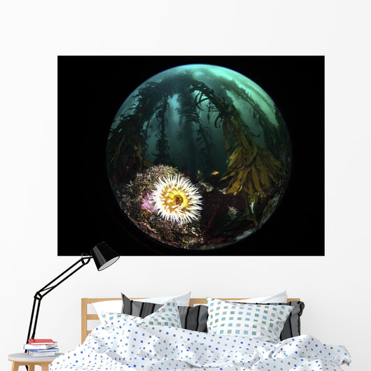 Anemone and Kelp Taken Wall Decal