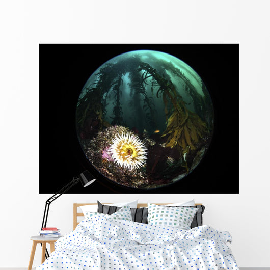 Anemone and Kelp Taken Wall Decal