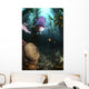 Male Sheephead Gazes His Wall Decal