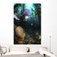 Male Sheephead Gazes His Wall Decal