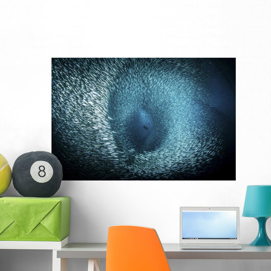 Cormorant Dives into Sea Wall Decal