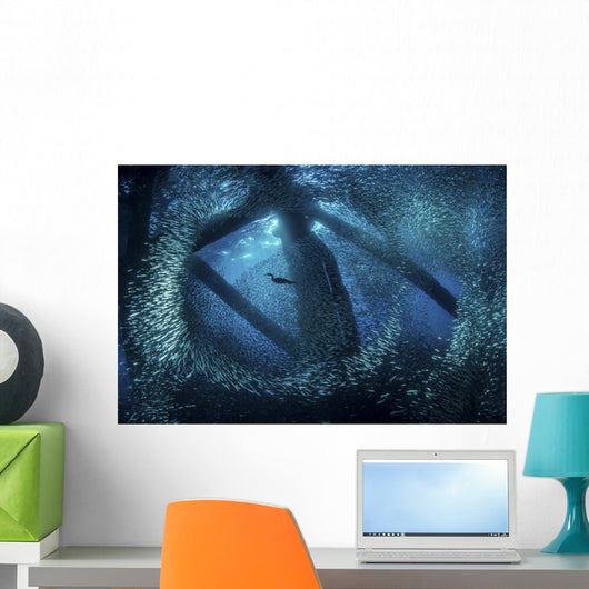 Cormorant Swims through Baitfish Wall Decal