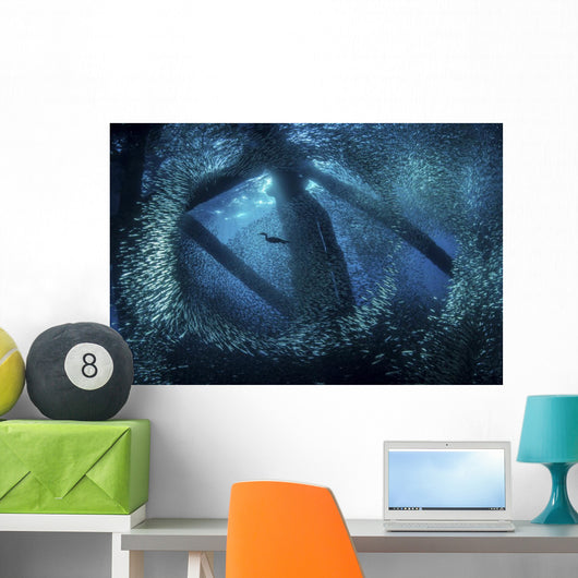 Cormorant Swims through Baitfish Wall Decal