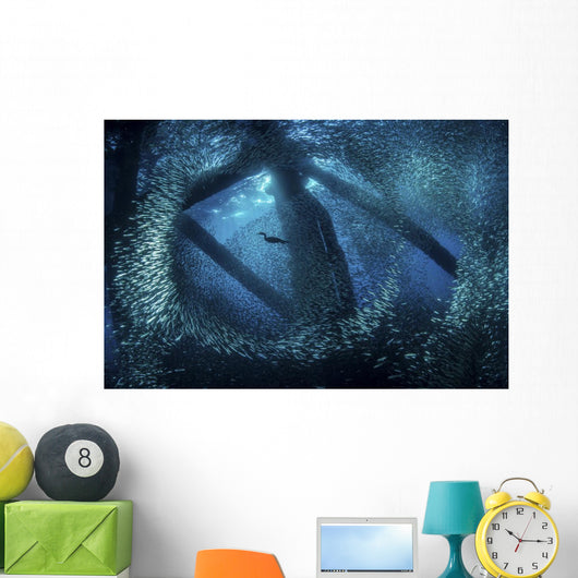 Cormorant Swims through Baitfish Wall Decal