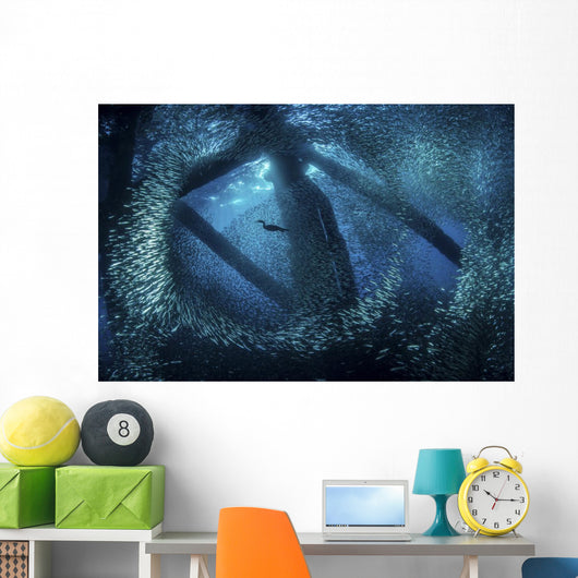 Cormorant Swims through Baitfish Wall Decal