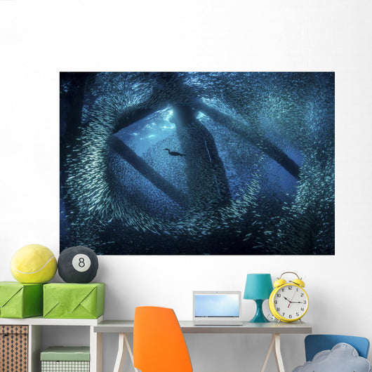 Cormorant Swims through Baitfish Wall Decal