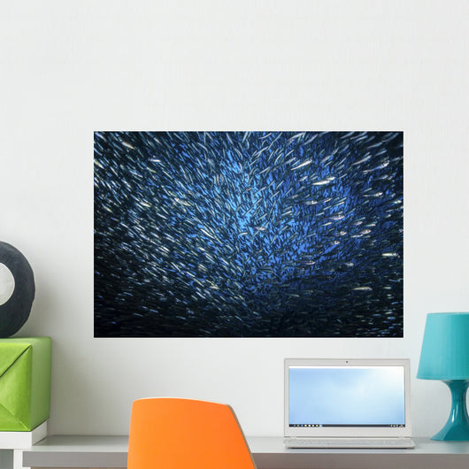 Huge School Anchovies under Wall Decal