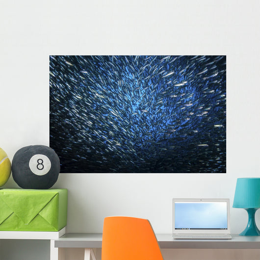 Huge School Anchovies under Wall Decal