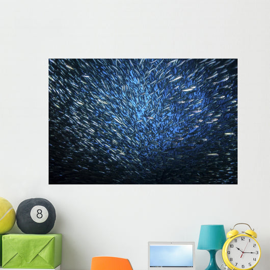 Huge School Anchovies under Wall Decal