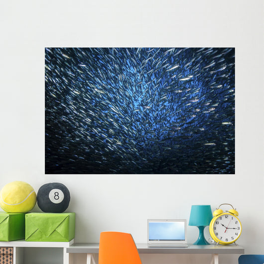 Huge School Anchovies under Wall Decal