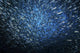 Huge School Anchovies under Wall Decal