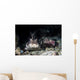 Horn Shark Southern California Wall Decal