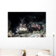 Horn Shark Southern California Wall Decal