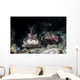 Horn Shark Southern California Wall Decal