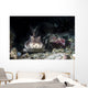 Horn Shark Southern California Wall Decal