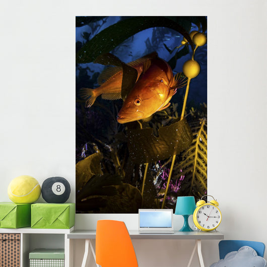 Giant Kelp Fish Santa Wall Decal