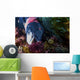 Male Sheephead Feeds Sea Wall Decal