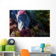 Male Sheephead Feeds Sea Wall Decal