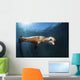 Sea Lion Blows Bubbles Wall Decal