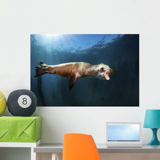 Sea Lion Blows Bubbles Wall Decal