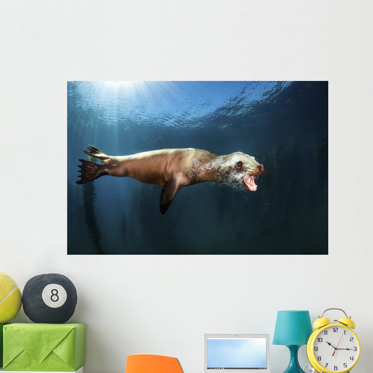 Sea Lion Blows Bubbles Wall Decal