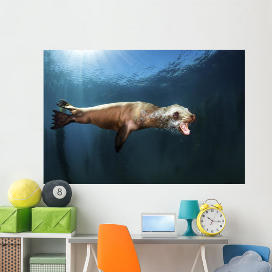 Sea Lion Blows Bubbles Wall Decal