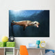 Sea Lion Blows Bubbles Wall Decal