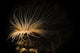 Tube Anemone Illuminated with Wall Decal