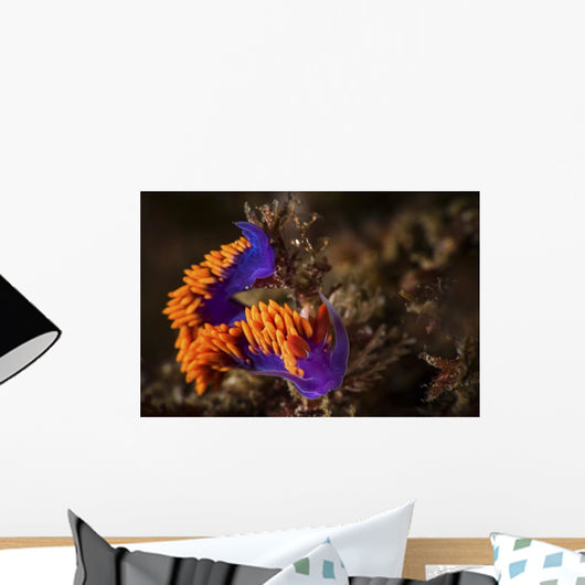 Portrait Spanish Shawl Feeding Wall Decal