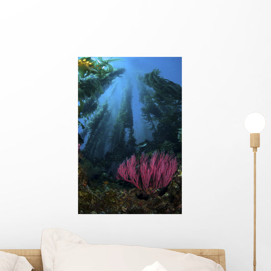 Gorgonian and Straight Kelp Wall Decal