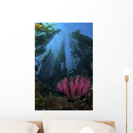 Gorgonian and Straight Kelp Wall Decal
