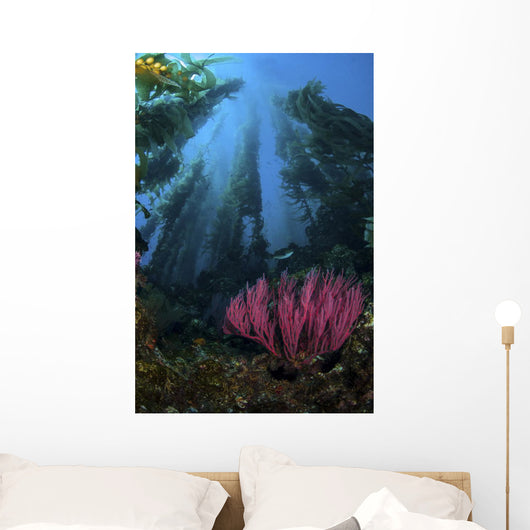 Gorgonian and Straight Kelp Wall Decal