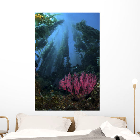 Gorgonian and Straight Kelp Wall Decal